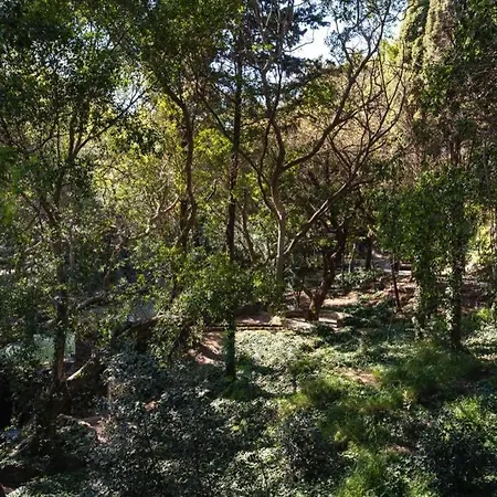 Rodini Park Apartament
